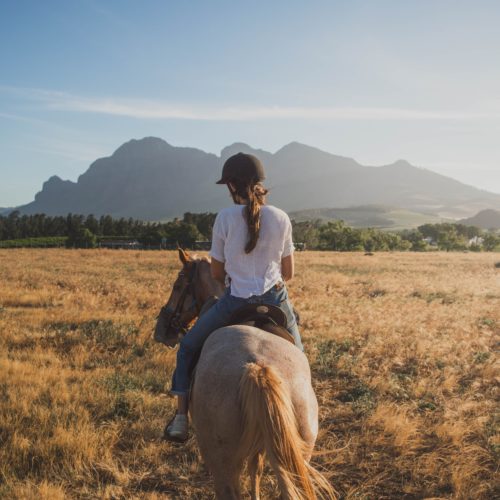 Horseback Riding: Parco Valle del Lambro
